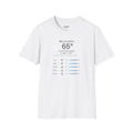 Snow Forecasted Tee