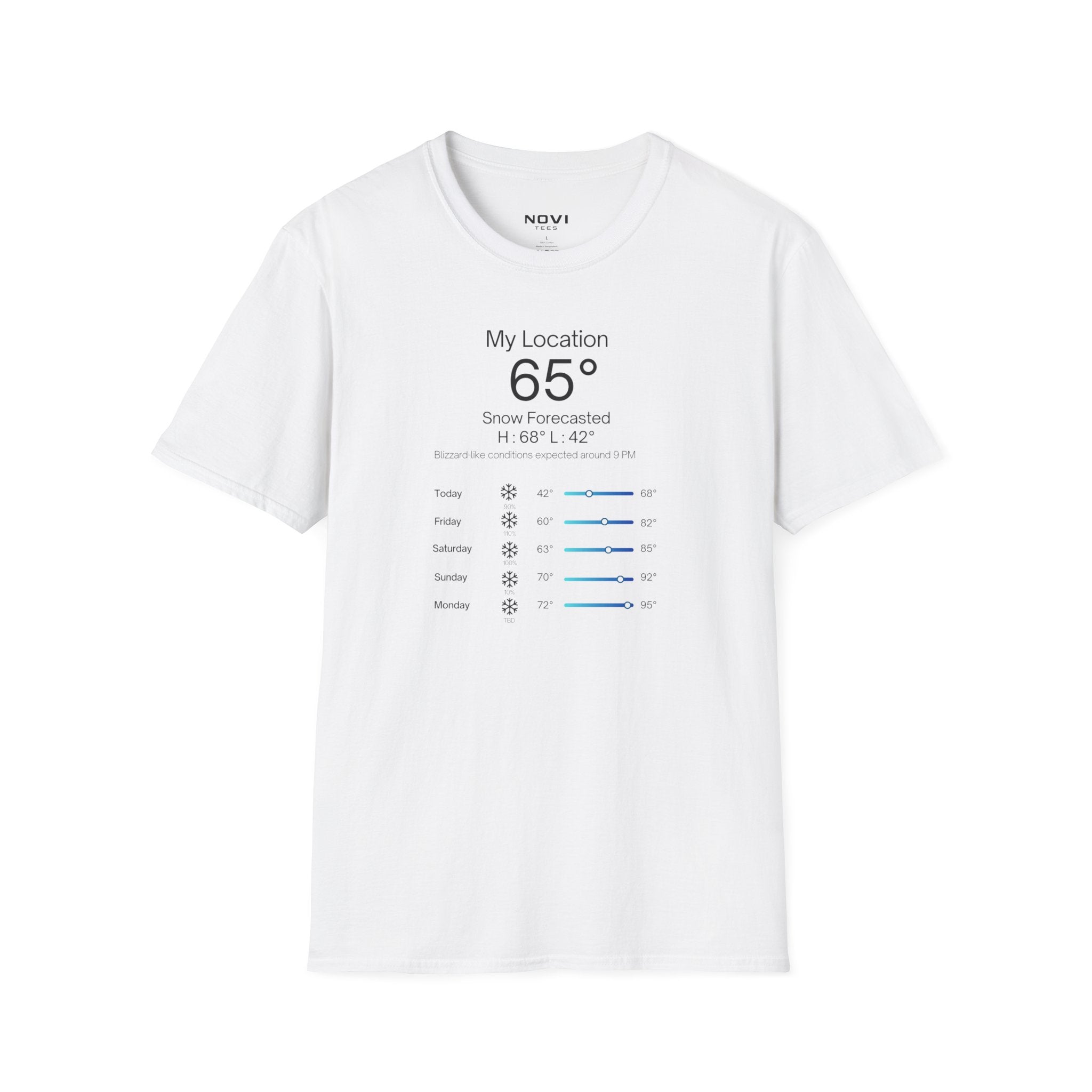 Snow Forecasted Tee